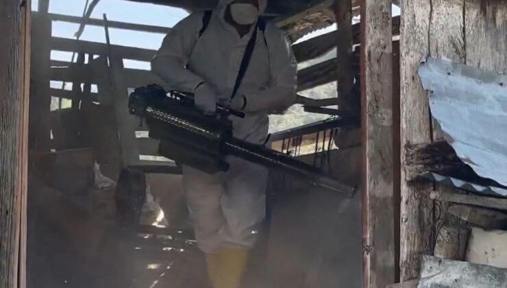 Kahverengi Kokarcaya Karşı 1 Milyondan Fazla Hanede İlaçlama Yapıldı