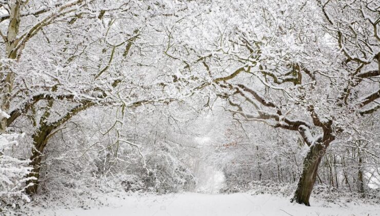 Meteoroloji’den 5 İl İçin “Sarı” Kodlu Uyarı: Kar ve Fırtına Kapıda
