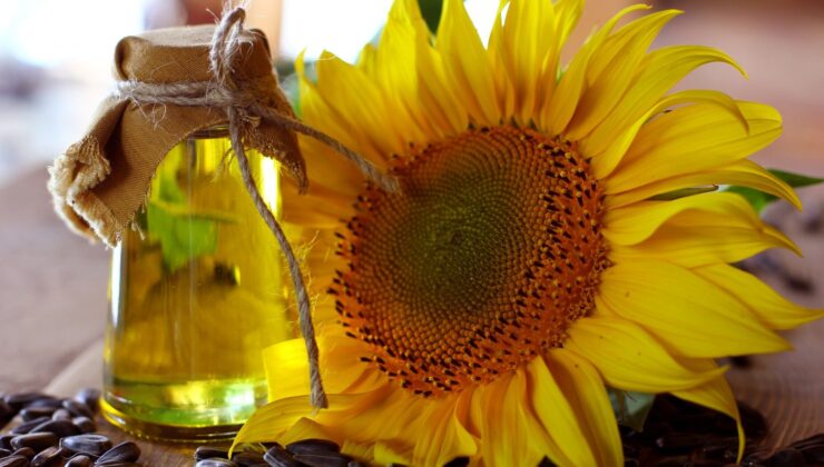 Türkiye’den Ayçiçeği Yağı İhracatı: İlk Çeyrekte 316 Milyon Dolarlık Gelir