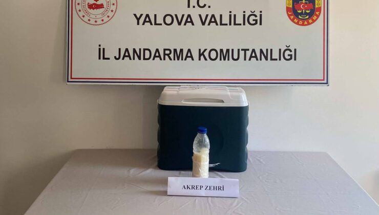 Yalova’da 5 Milyon Dolarlık Akrep Zehri Ele Geçirildi